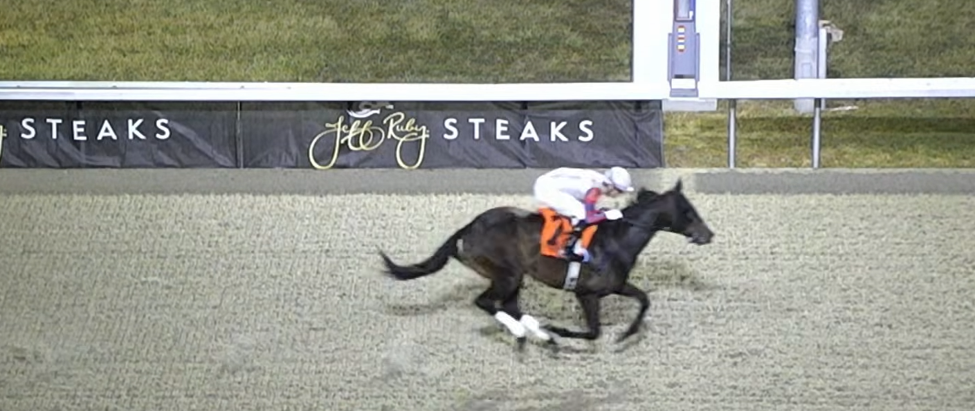 Horsetron Supreme